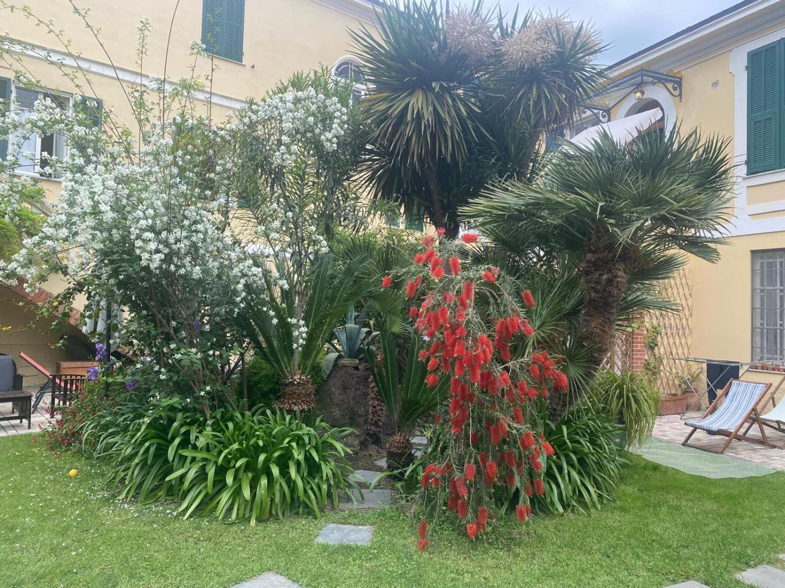 Villa Angelina - Casa Glicine Vallecrosia Buitenkant foto