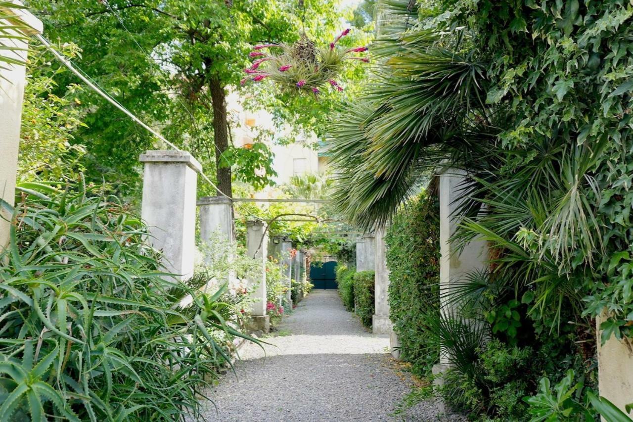 Villa Angelina - Casa Glicine Vallecrosia Buitenkant foto